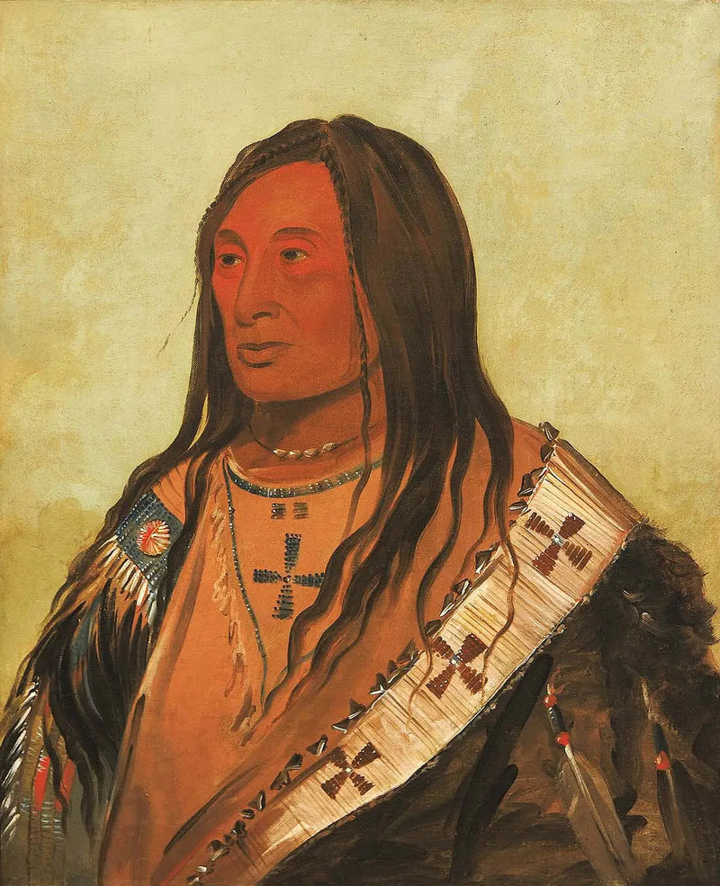 Táh-zee-keh-dá-cha, Rozdarcie brzucha, dzielny wybitny - George Catlin