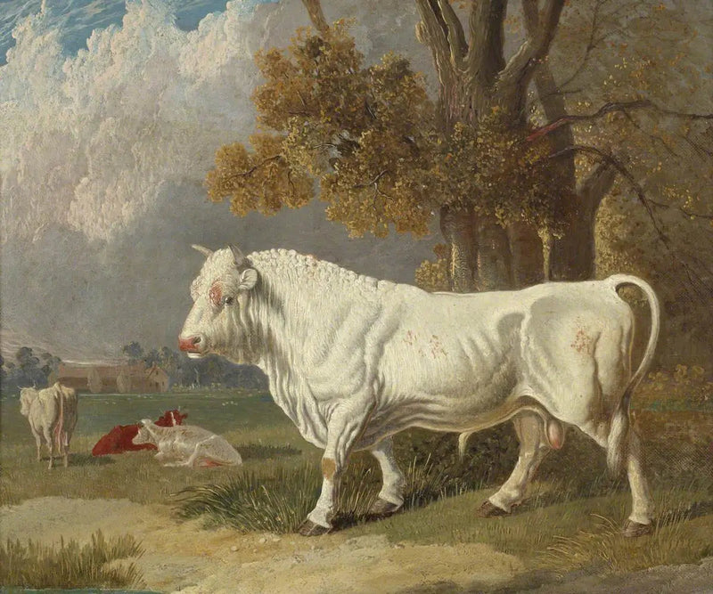 Biały byk, Fulbourn, Cambridgeshire, 1830 - John Frederick Herring, Sr.