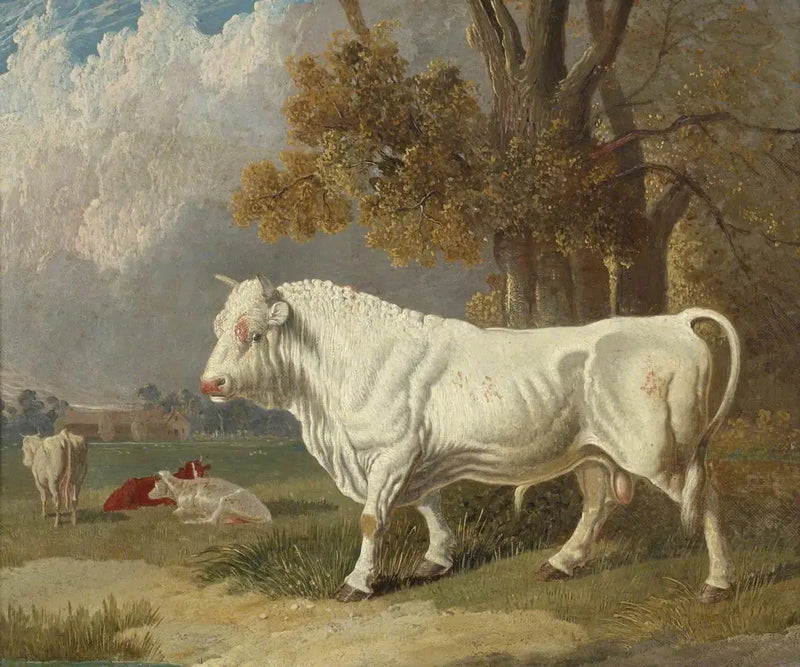 Biały byk, Fulbourn, Cambridgeshire, 1830 - John Frederick Herring, Sr.