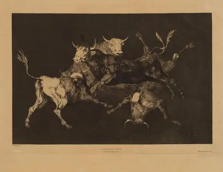 Byki - Francisco de Goya