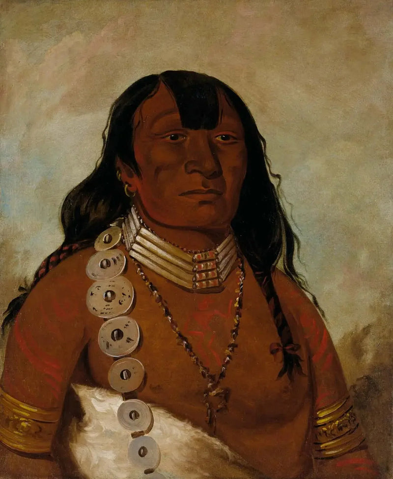 Téh-tóot-sah (bardziej znany jako Tohausen, Little Bluff), główny szef - George Catlin