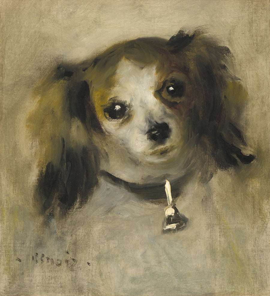 Głowa psa - Pierre-Auguste Renoir
