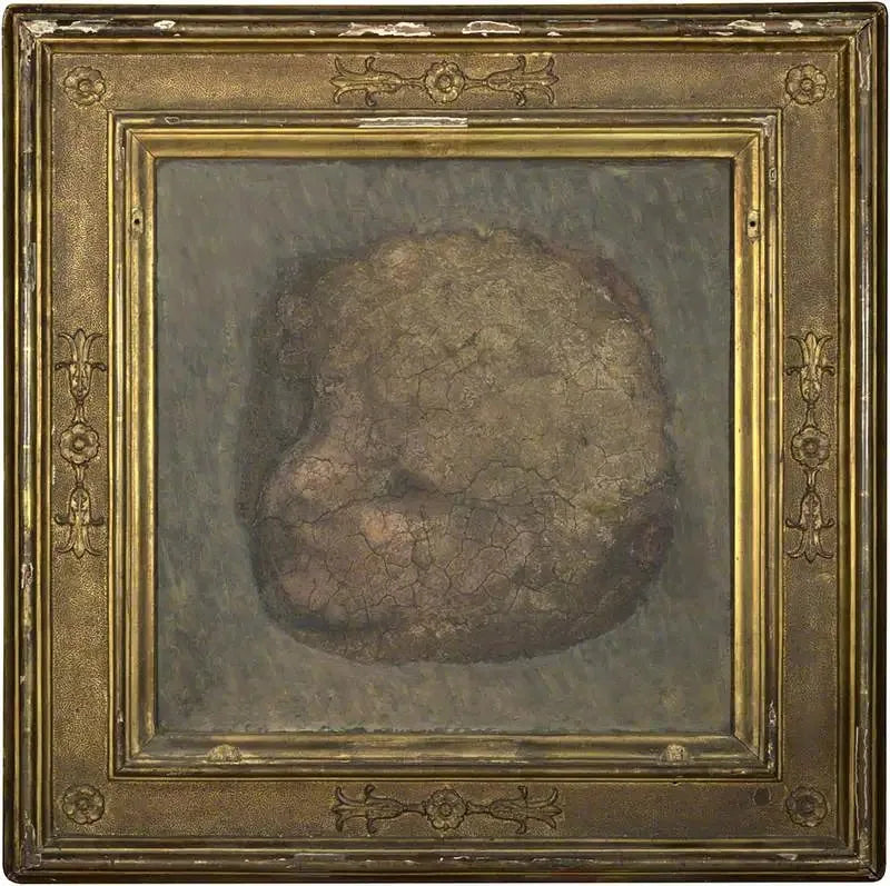 Głowa anioła - Antonio da Correggio