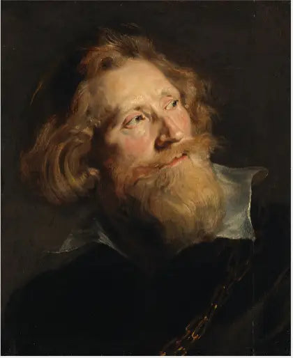 Brodata głowa mężczyzny - Peter Paul Rubens