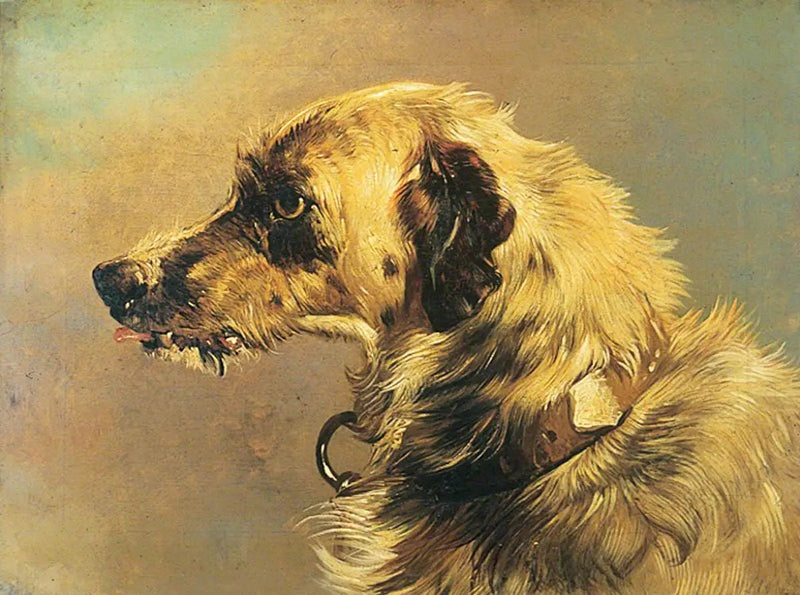 Głowa psa gończego - Edwin Henry Landseer