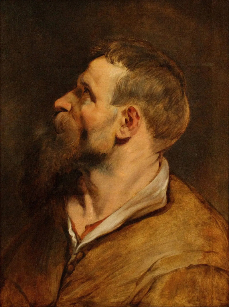 Głowa brodatego mężczyzny patrzącego w lewo - Peter Paul Rubens