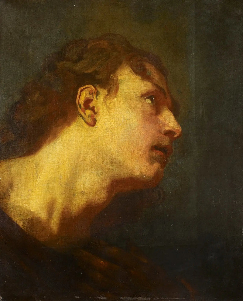 Głowa młodego mężczyzny - Antoine van Dyck