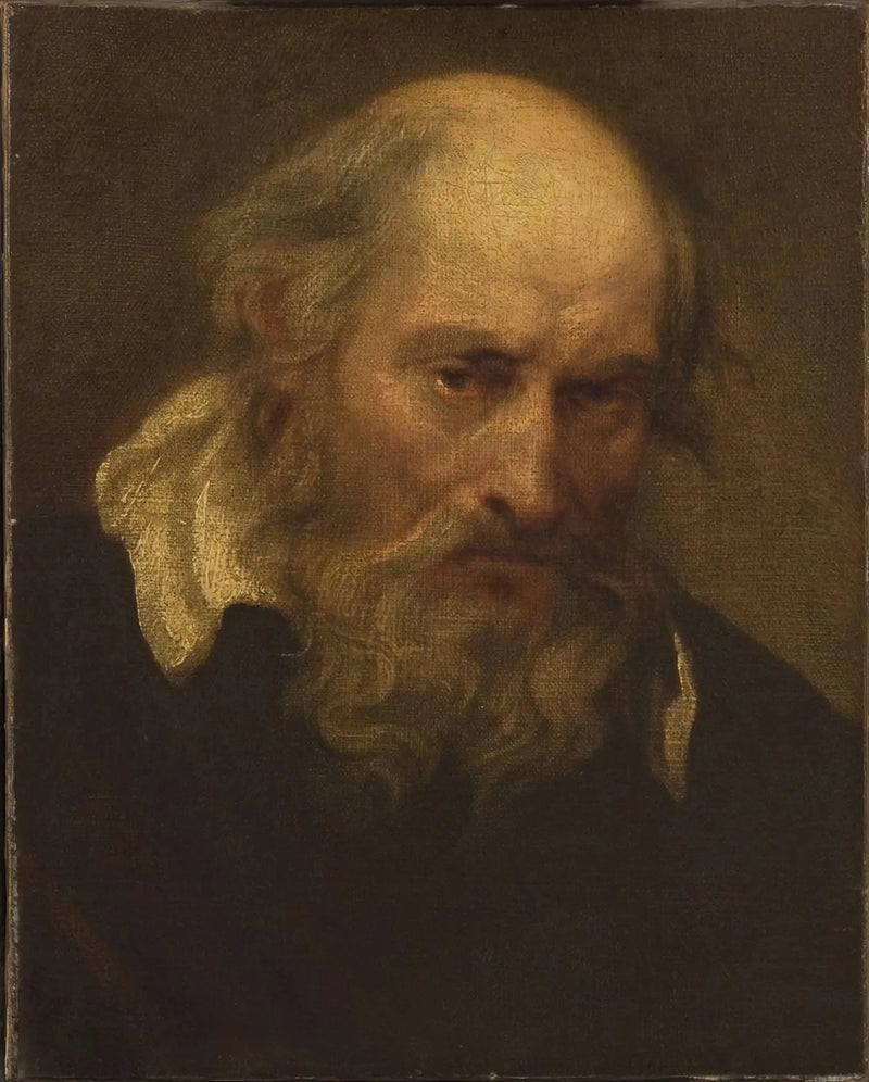 Głowa starszego mężczyzny - Antoine van Dyck