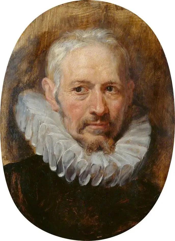 Głowa starszego mężczyzny - Peter Paul Rubens