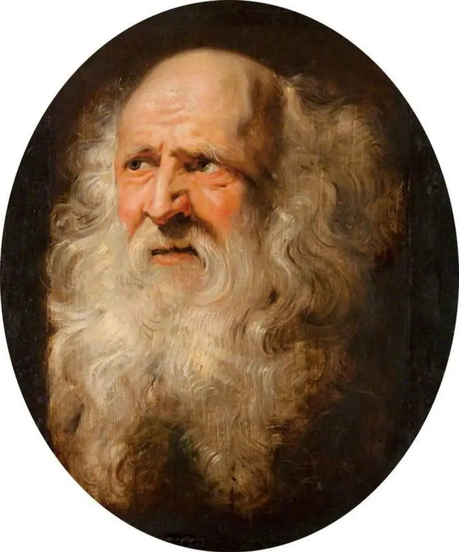 Głowa starszego mężczyzny - Peter Paul Rubens