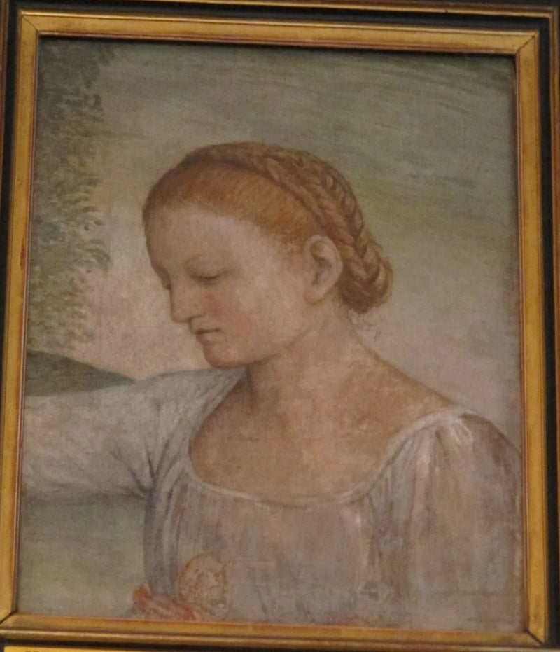 Głowa dziewczyny - Bernardino Luini