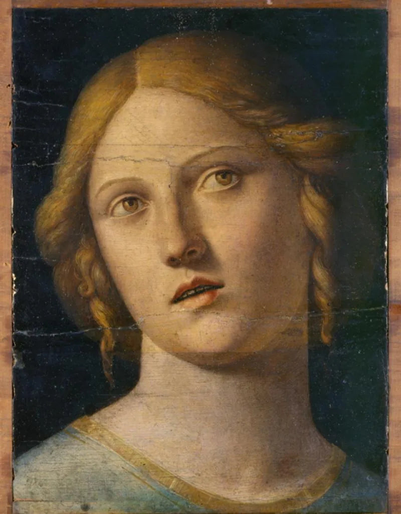 Głowa świętej - Cima da Conegliano
