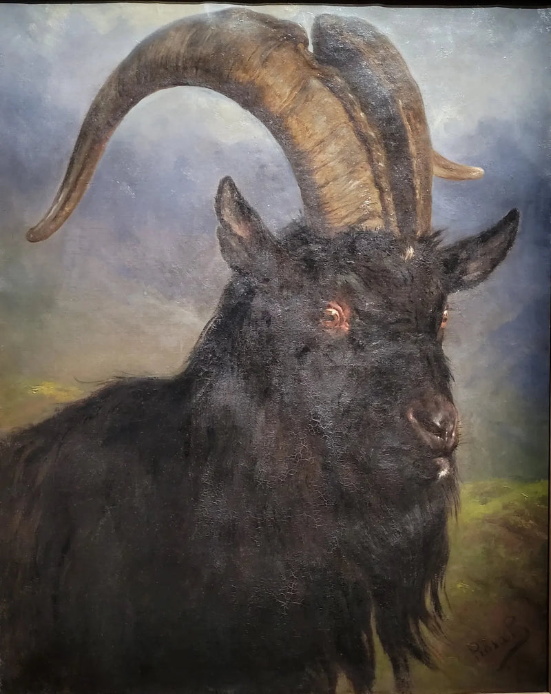 Głowa kozła - Rosa Bonheur