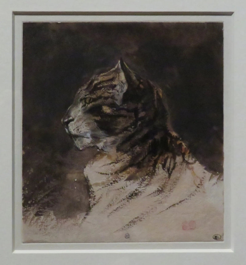 Głowa kota - Eugène Delacroix
