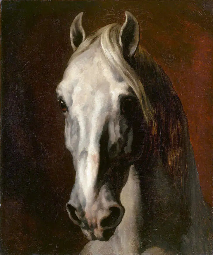 Głowa białego konia - Théodore Géricault