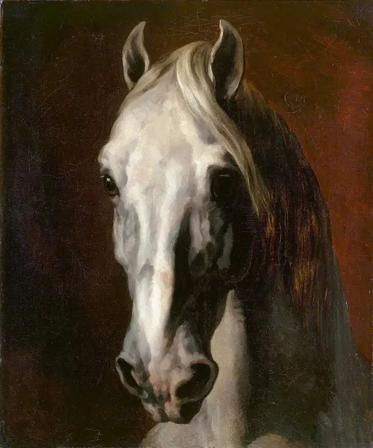 Głowa białego konia - Théodore Géricault