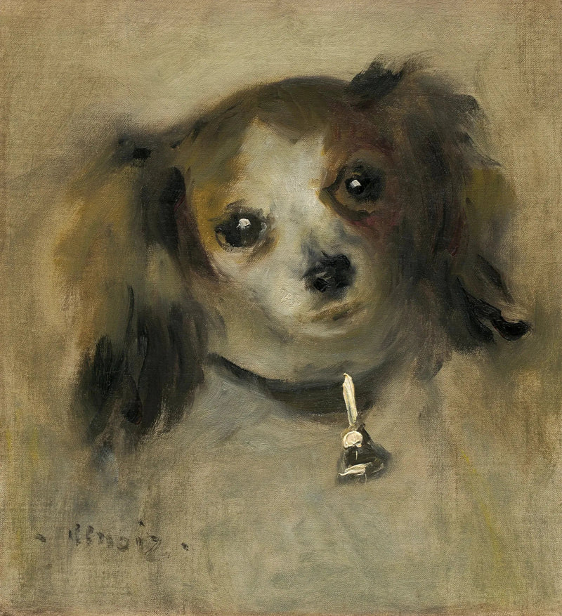 Głowa psa - Pierre-Auguste Renoir