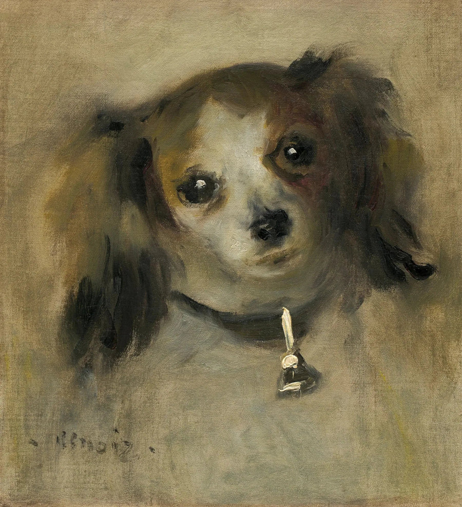 Głowa psa - Pierre-Auguste Renoir
