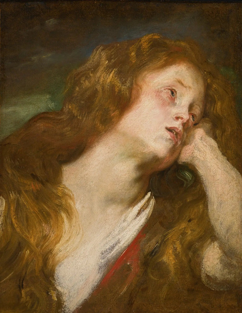 Głowa młodej kobiety - Antoine van Dyck