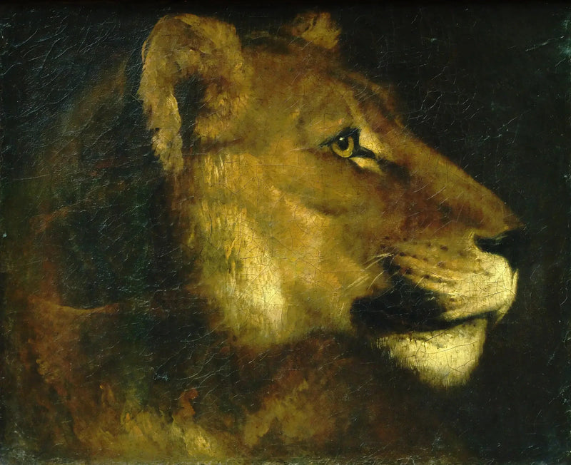 Głowa lwicy - Théodore Géricault