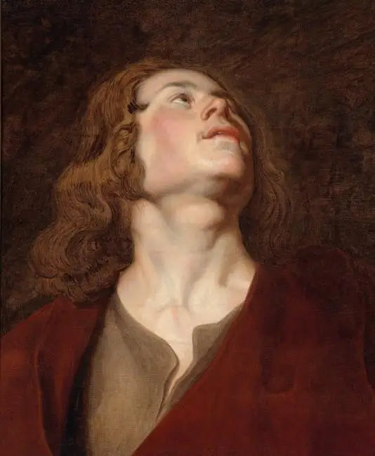 Głowa świętego Jana - Peter Paul Rubens