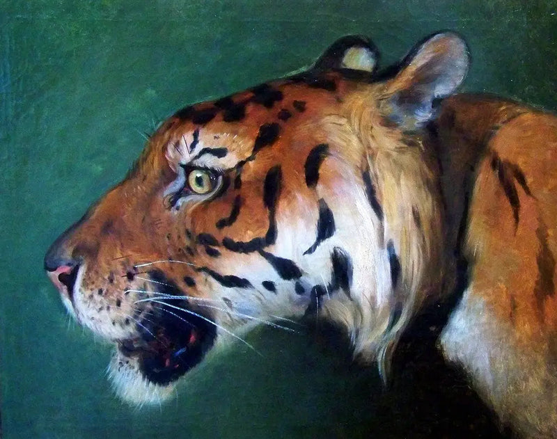 Głowa tygrysa - Eugène Delacroix