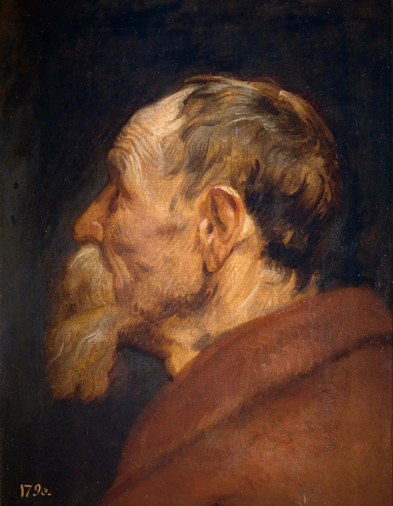Głowa starca - Antoine van Dyck