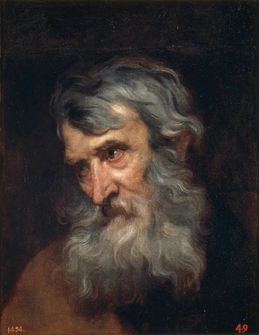 Głowa starca - Antoine van Dyck