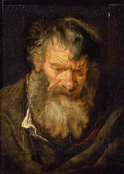 Głowa starca - Antoine van Dyck