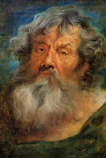 Głowa starca - Antoine van Dyck