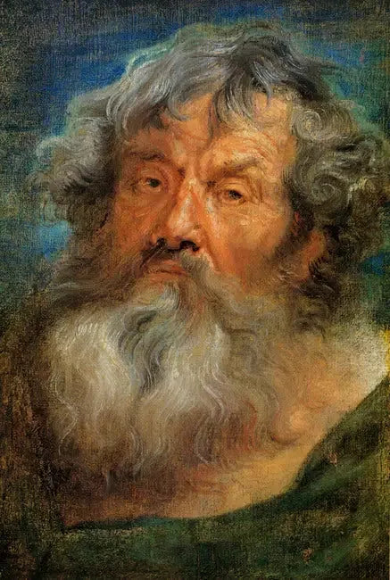 Głowa starca - Antoine van Dyck