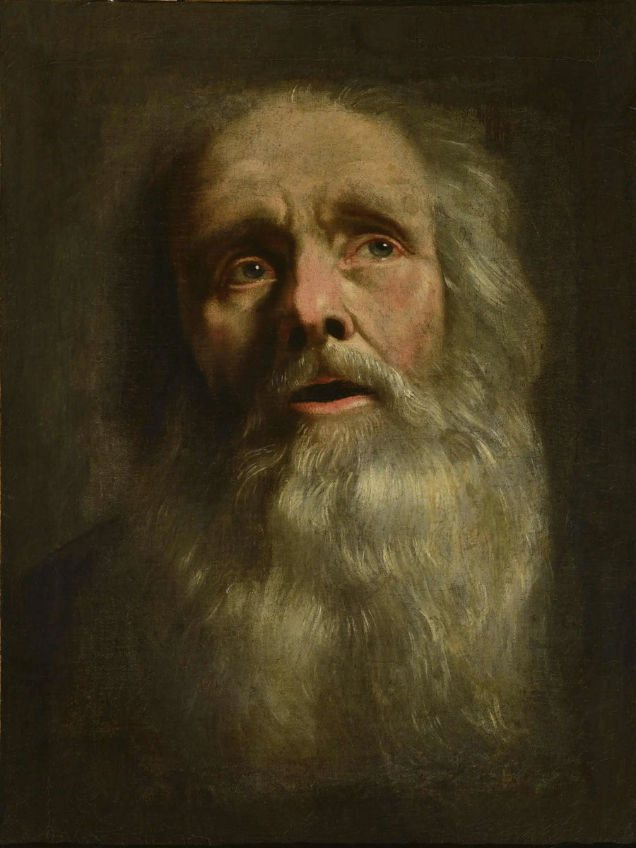 Głowa starca - Philippe de Champaigne