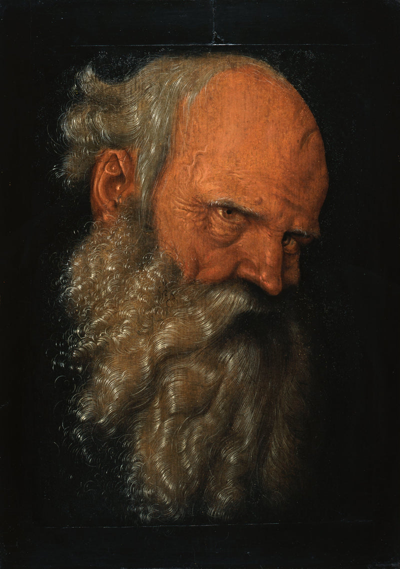 Głowa starszego brodatego mężczyzny - Hans Baldung Grien