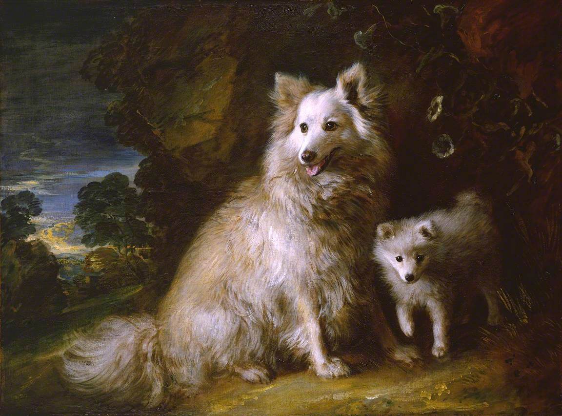 Pomeranian Bitch and Puppy - Thomas Gainsborough