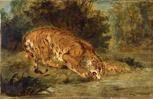 Tygrys pijący - Eugène Delacroix