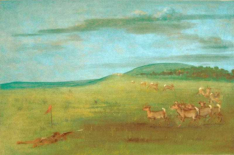 Strzał do antylopy przyciągniętej - George Catlin