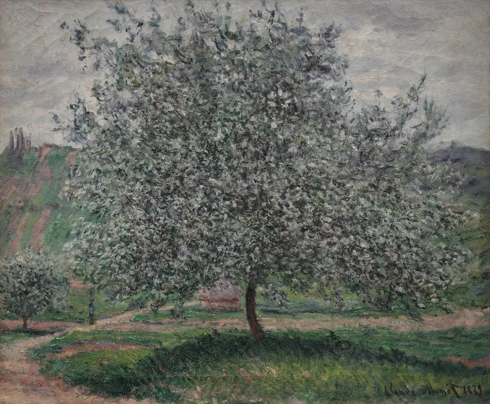 Titre traduit non disponible - Claude Monet image 1 reproduction de peinture à l’huile