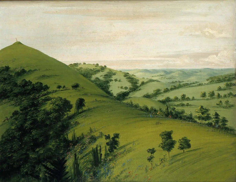 Upadek wróbla, widok od tyłu, łąki pokryte kwiatami - George Catlin