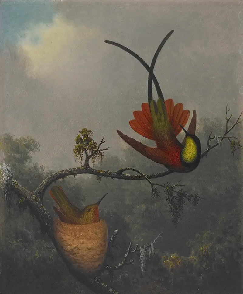 Topaz karmazynowy - Martin Johnson Heade