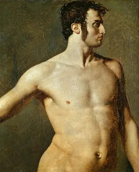 Torso mężczyzny - Jean-Auguste-Dominique Ingres