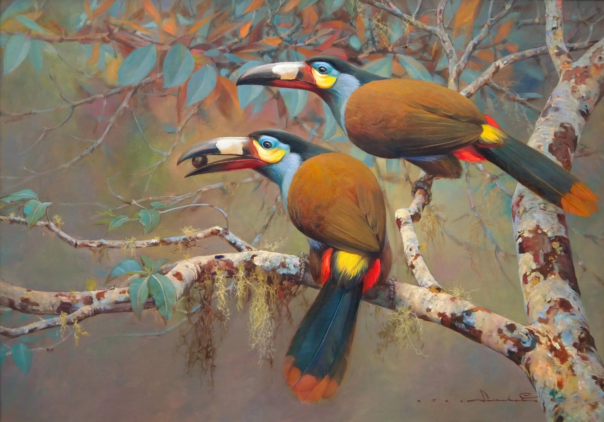Toucan des Montagnes | 60 x 90 cm image 1 reproduction réalisée par Alpha Reproduction