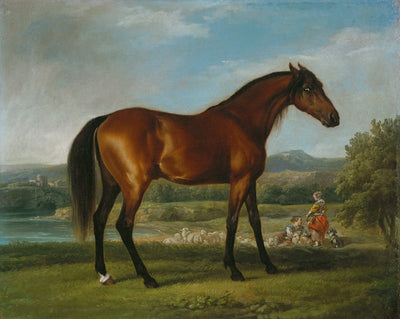 Trémière - George Stubbs - Alpha Reproduction