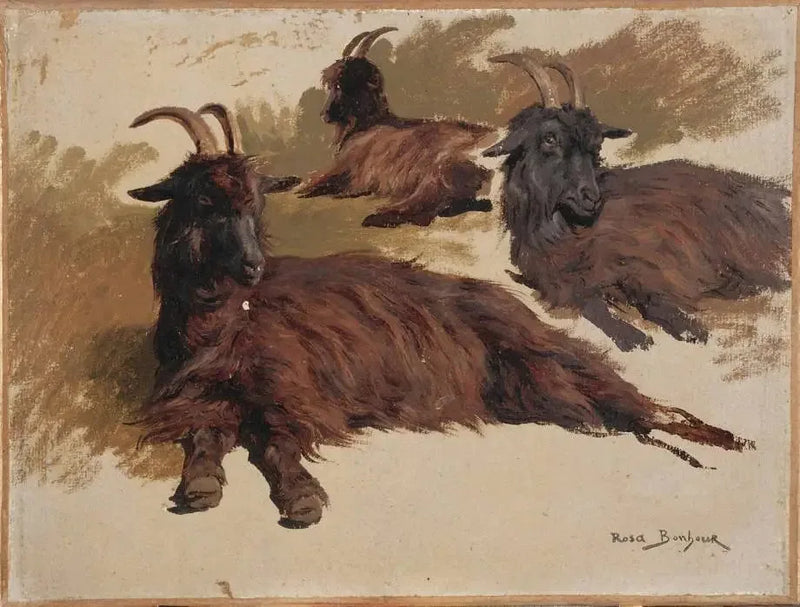 Trzy kozy w spoczynku - Rosa Bonheur