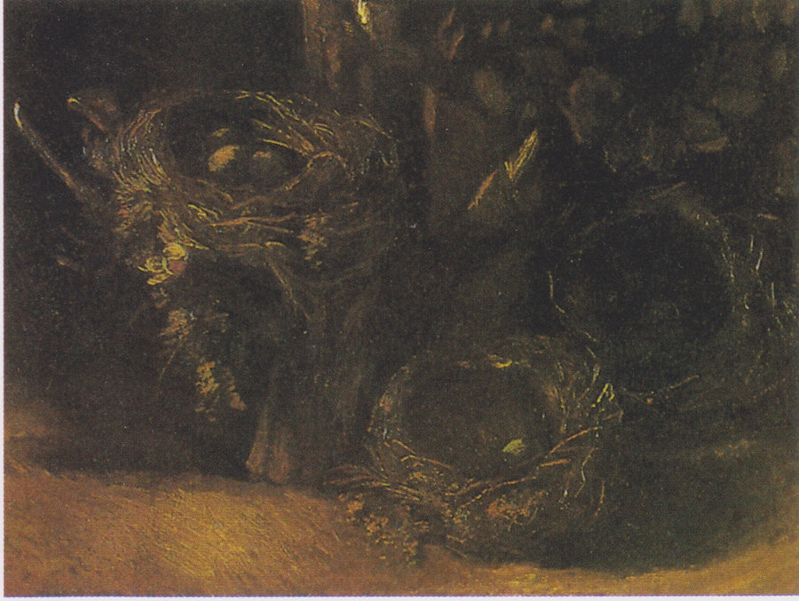 Martwa natura z trzema gniazdami ptaków - Vincent van Gogh