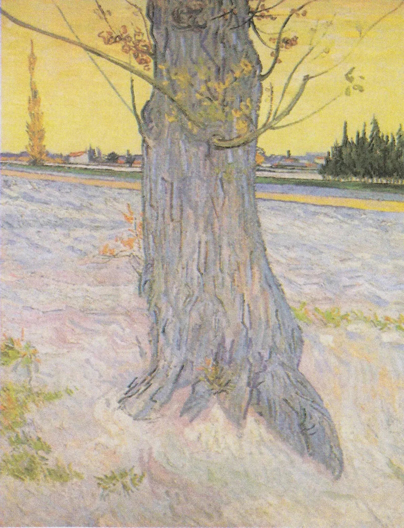 Pień starego jałowca - Vincent van Gogh