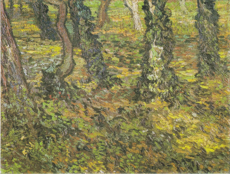 Pnie drzew z bluszczem - Vincent van Gogh