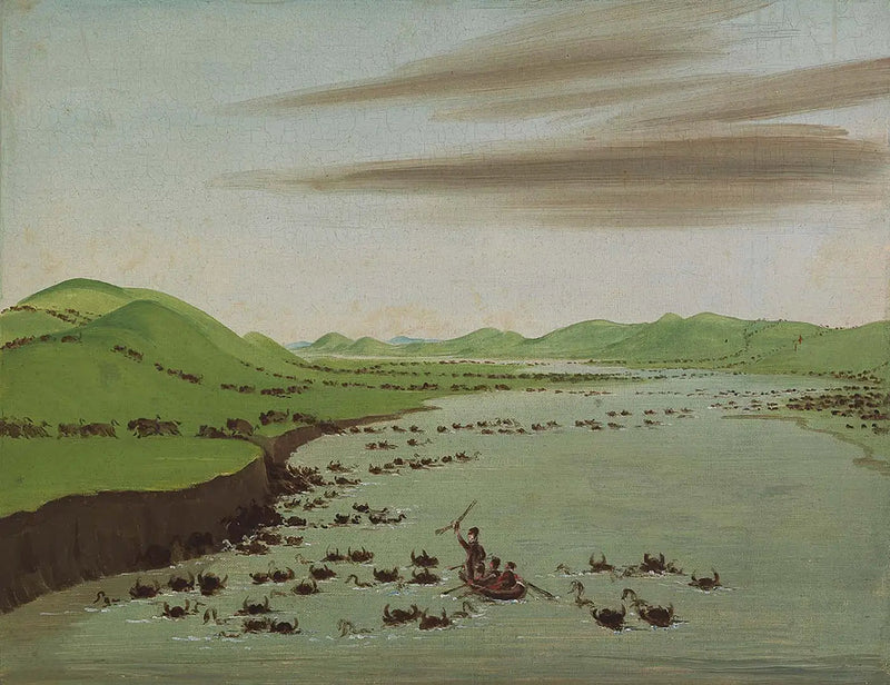 Stada bizonów przechodzące przez Górny Missouri - George Catlin