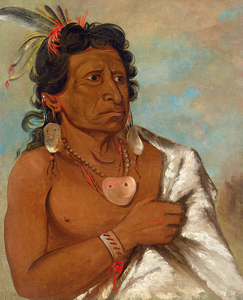 U'sh-ee-kitz, Ten, który walczy piórem, przywódca plemienia - George Catlin