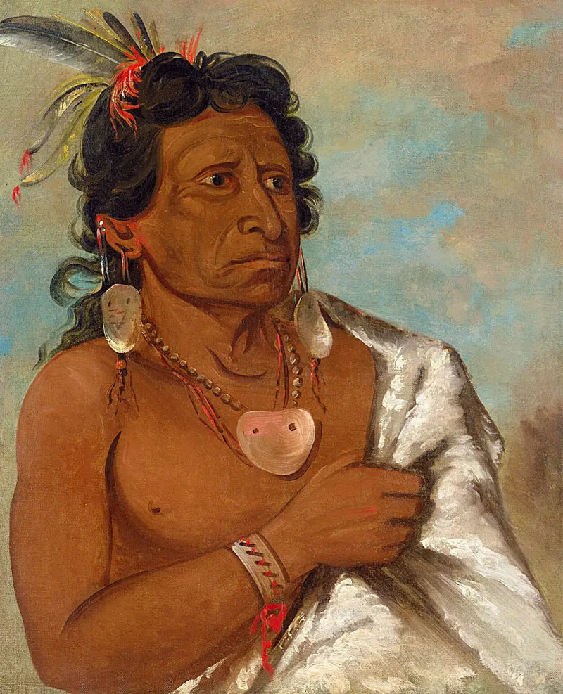 U'sh-ee-kitz, Ten, który walczy piórem, przywódca plemienia - George Catlin