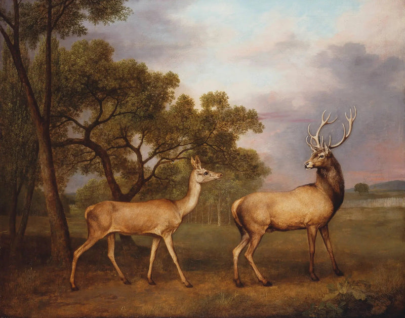 Samiec jelenia i łania - George Stubbs
